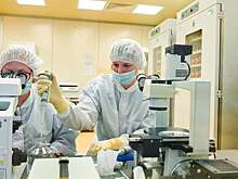 За 9 месяцев московский «Биннофарм» в 3,6 раза нарастил экспортные поставки в страны СНГ