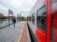 Более 10 поездов задержались на Кубани из-за рухнувшего на пути дерева