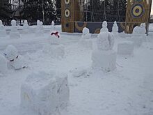 В ЦПКиО Кургана вандалы надругались над снеговиками