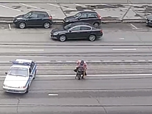 В Воронеже полицейские помогли старушке перейти дорогу, преградив движение своим авто