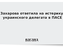 Захарова ответила на истерику украинского делегата в ПАСЕ