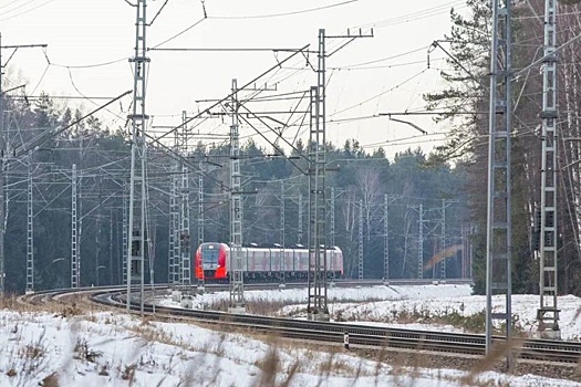 В Ярославской области из-за обледенения проводов на час задержалась "Ласточка"