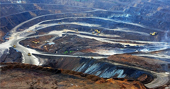 Polymetal вложилась в восстановление леса для снижения выбросов углерода