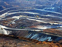 Polymetal вложилась в восстановление леса для снижения выбросов углерода