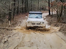 Видео: новый Ford Bronco выпустили на бездорожье