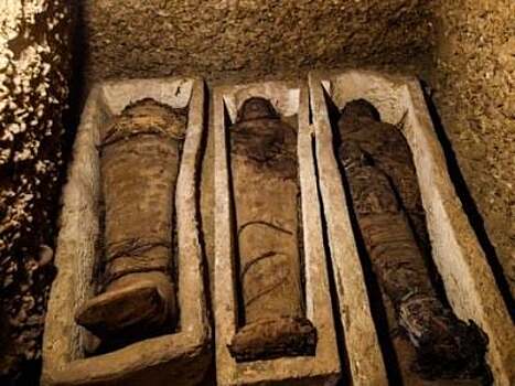 Американский археолог заявил об обнаружении останков египтянки-феминистки