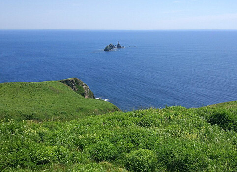Половину сельдевых квот освоили приморские компании