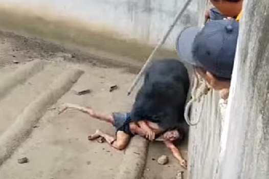 Медведь напал на мужчину на территории храма в Таиланде