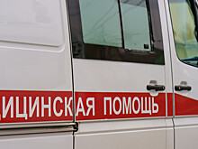 Чуму выявили у человека в Монголии: угрожает ли опасная инфекция россиянам