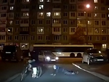 Женщину из Казани, которая привязала сына к велосипеду, оштрафуют за нарушение ПДД