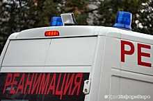 Пешеход погиб под колесами машины на границе Свердловской области и Прикамья