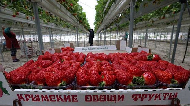 Производство крымской сельхозпродукции в 2021 году выросло более, чем на 19% в сравнении с 2020 годом