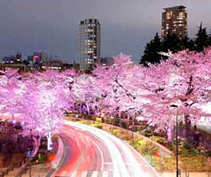 Челябинцы смогут увидеть Токио глазами фотографов разных стран