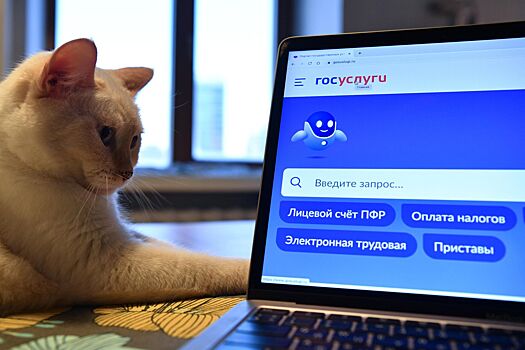 Назван способ разморозить накопительную часть пенсии