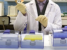 Роспотребнадзор судится с тюменским производителем из-за отравления во Владивостоке