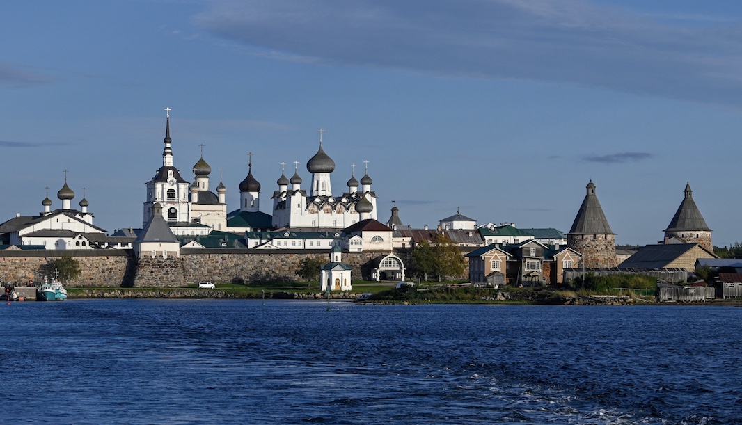 На Соловках обнаружили редкую арктическую пиявку