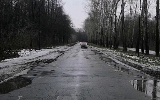 Гость из Нижнего Новгорода чуть не сбил человека в Лесопарке