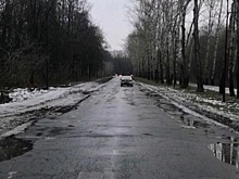 Гость из Нижнего Новгорода чуть не сбил человека в Лесопарке