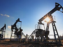 Депутат Дагделен призвала снова импортировать нефть из РФ и открыть "Северный поток"