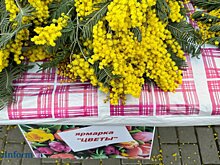 В четырех районах области временно отключат свет 4 и 10 марта