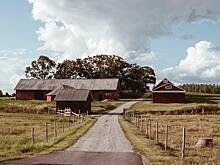 Психиатр объяснил, почему россияне вкалывают на даче