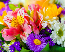 В Уфе состоится фестиваль «День цветов»