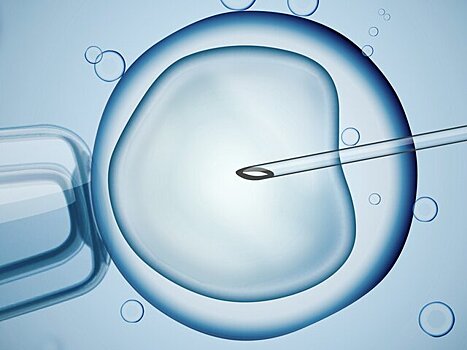 Мизулина предложила наделить эмбрионы в пробирке правовой защитой