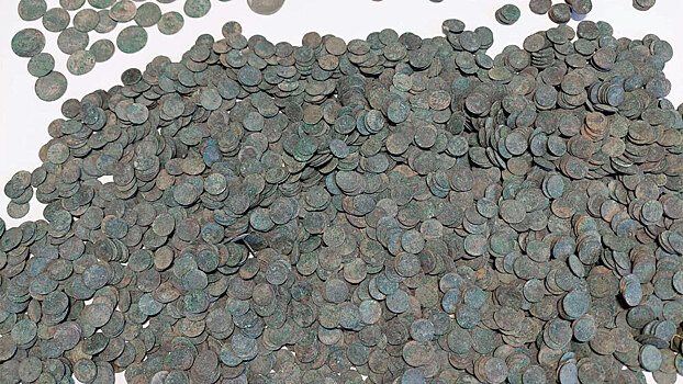 Польский краевед нашел клад из тысяч монет, зарытый в смутные годы Европы