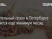 Отопительный сезон в Петербурге продлится еще минимум месяц