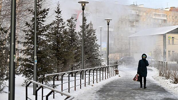 В Гидрометцентре рассказали о погоде в Москве 2 декабря