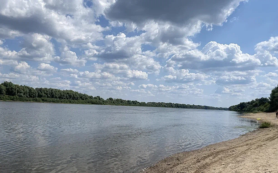 Рязанский регион получит дополнительные средства на расчистку реки Солотча
