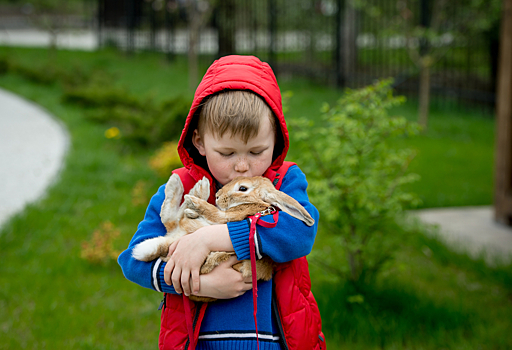 Исследование: дети считают, что с животными на ферме стоит обращаться как с домашними питомцами
