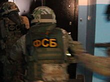 В Москве арестовали основателя крупной хакерской группировки. Его разыскивают в США за кибермошенничество