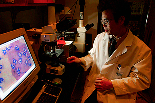 Назван способ продлить жизнь пожилым людям