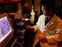 Назван способ продлить жизнь пожилым людям