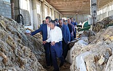 Работу дагестанского шерстеперерабатывающего предприятия показали представителю Совета Федерации РФ