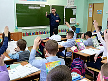 Пять школ‑лидеров по преподаванию ПДД выявили в Подмосковье