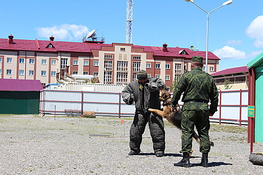 Поздравления и рукопашный бой: в Южной Осетии отметили День пограничника