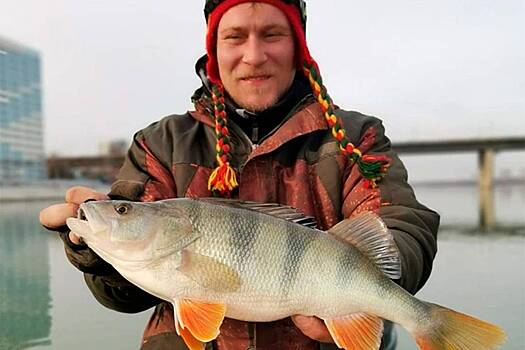 Рыбак поймал гигантского окуня в Новосибирске