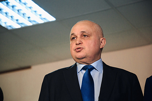 Губернатор Кузбасса поручил провести встречу с авторами "экологической петиции"