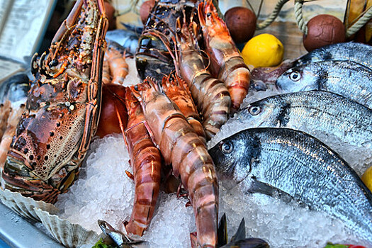 Росрыболовство: производство ценных морепродуктов в России подскочило в 5 раз