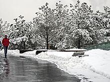 Уличные конструкции парка "Зарядье" обследуют после травмирования ребенка