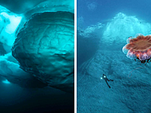 11 редких и впечатляющих фото айсберга в Гренландии от фотографа Тобиаса Фридриха