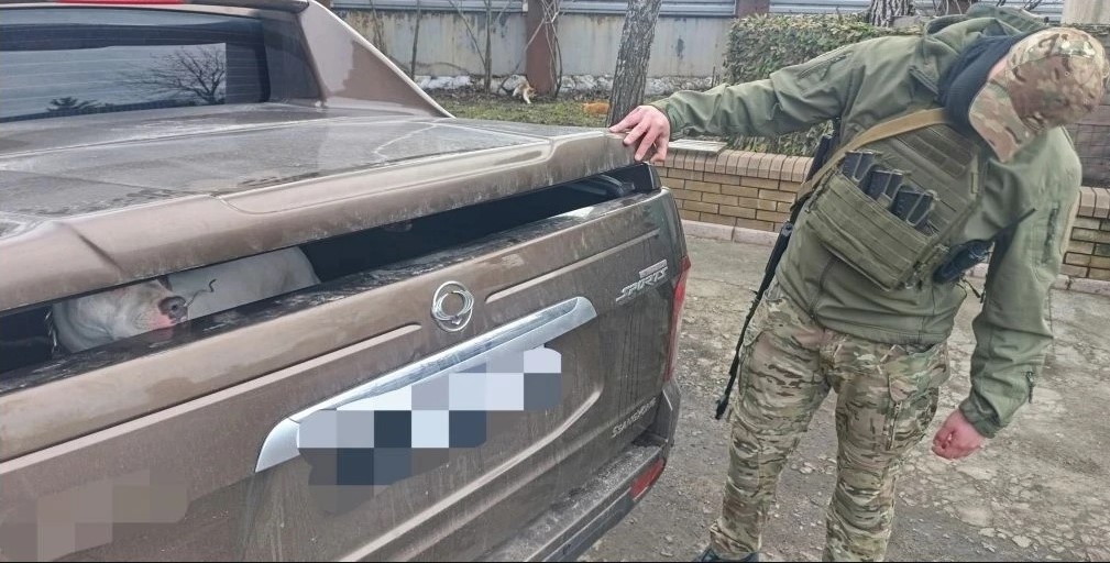 Питбуля, напавшего на школьницу в Ростовской области, отправили на СВО