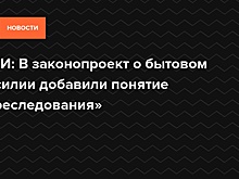СМИ: В законопроект о бытовом насилии добавили понятие «преследования»