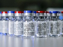 Стала известна предельная цена на российскую вакцину от коронавируса