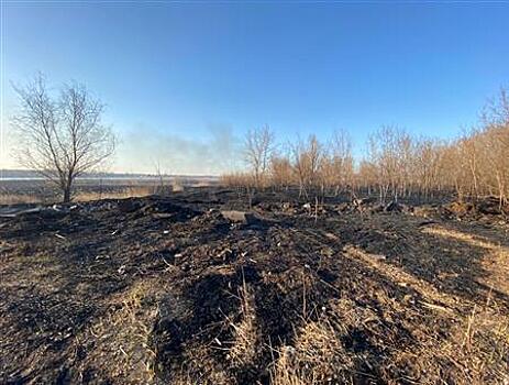 В Тольятти произошел крупный природный пожар