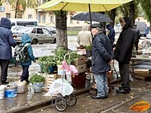 В Уфе 28 мая пройдет сельскохозяйственная ярмарка