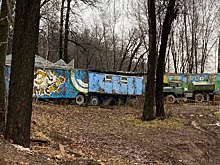 В Уфе хищники уже три года живут в заброшенном зоопарке