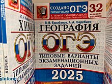 ОГЭ: среди девятиклассников поймали двоих нарушителей